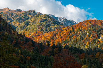 autumn landscape in the mountains
