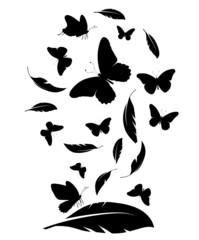 Flock of black feathers and butterflies isolated on white background. Vector