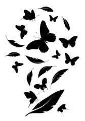 Flock of black feathers and butterflies isolated on white background. Vector