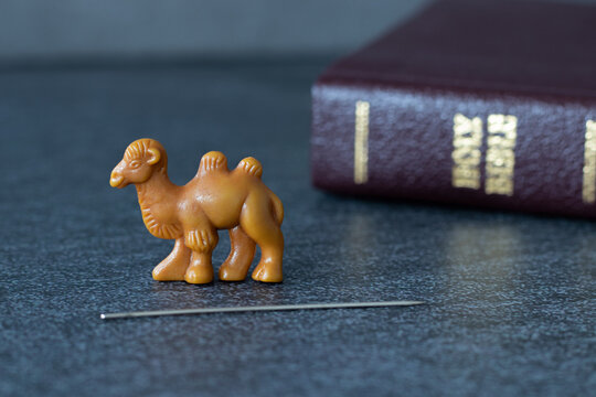 A closeup of camel miniature with needle and Christian Holy Bible in the background. A biblical concept of faith and obedience in God Jesus Christ. Eye of a needle parable