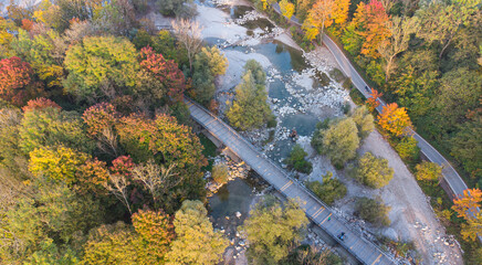 Top view of a street in Germany in autumn with colorful trees. Aerial drone perspective of Isar...
