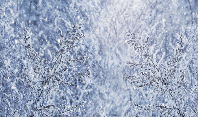 Snow-covered branches of trees and shrubs during the snowfall form a winter pattern