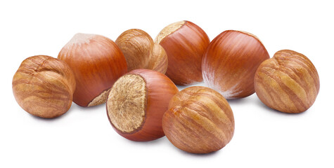 Delicious hazelnuts, isolated on white background