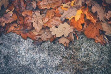 wet autumn leaves with water drops after rain on granite slab