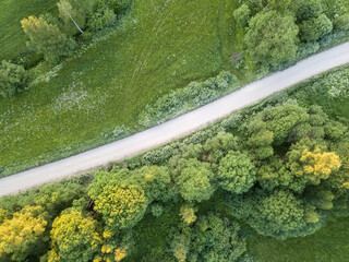 countryside roads in autumn colors with sunset light