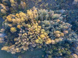 Fototapeta premium autumn forest view from drone camera