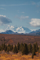 the denali mountain of Alaska in a beatiful day 