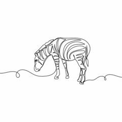 Vector continuous one single line drawing of amazing zebra animal in silhouette on a white background. Linear stylized.
