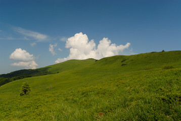 Green mountain meadows, Bieszczady Mountains, Poland