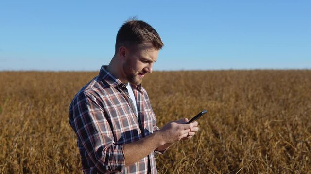 A farmer or agronomist types something in a cell phone in the middle of a soybean field during harvest