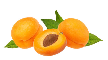 Apricots with leaves isolated on white background with clipping path