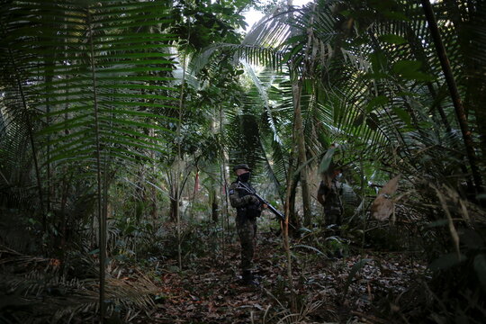Brazilian Army soldiers are pictured in a forest of wood extraction in the Amazon rainforest