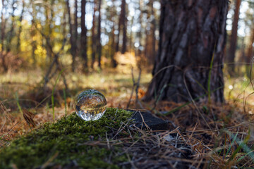 A crystal ball lies on a moss in the forest. Selective soft focus. Reflection of the forest. Environment concept. Concept and theme of nature, environmental protection. Glass material. Copy space