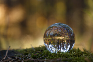 A crystal ball lies on a moss in the forest. Selective soft focus. Reflection of the forest. Environment concept. Concept and theme of nature, environmental protection. Glass material. Copy space