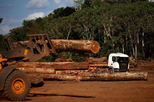 Piles of legal wood are seen in a wood company warehouse in the Amazon rainforest