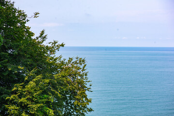 gorgeous sea view in the Botanical Garden of Batumi
