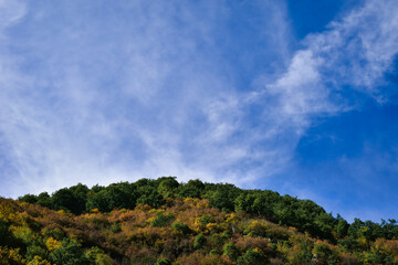 Fototapeta premium clouds over the forest