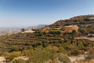 Beautiful landscape in the mountains. Lovely view of the Mountains. Mountain serpentine, olive plantations. Postcard view. Travel concept. Cyprus