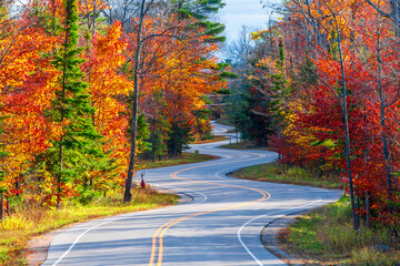 Obraz premium Winding Road at Autumn in Door County of Wisconsin