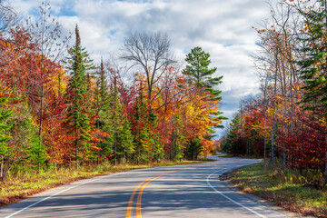 Obraz premium Winding Road at Autumn in Door County of Wisconsin