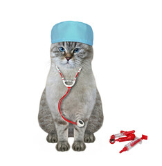 An ashen cat doctor in a medical cap and a stethoscope is sitting. White background. Isolated. - 463910895