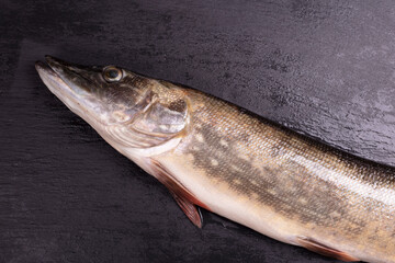 Fresh pike fish on the table is ready for cooking 