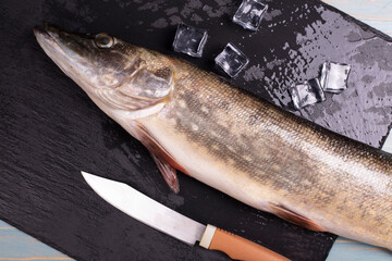 Fresh pike fish on the table is ready for cooking 
