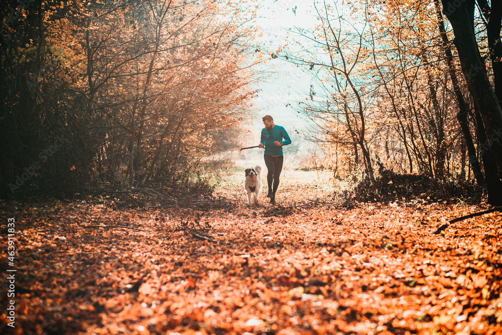 Poster happy dog and man playing in autumn forest