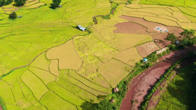 Aerial view of rice terrace in the valley located in Ban Wen, Bo Kluea district, Nan province, Thailand. 4K drone footage rice terrace view in morning.