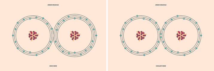 Conceptual vector representation of a argon molecule, made up of two atoms, and the types of chemical bonds: covalent, atoms sharing electrons, and ionic, an atom gives an electron to another atom. 