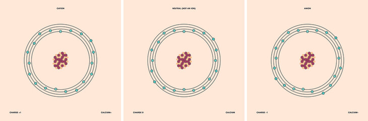 Conceptual vector representation of a calcium atom and its ions: a cation with less electrons than protons and positive charge, and an anion with more electrons than protons and negative charge.