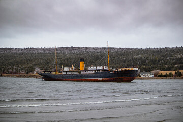 Old sunken whaling ship near shore - obrazy, fototapety, plakaty
