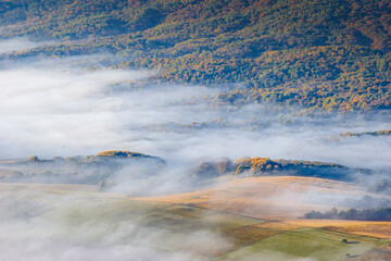 Туман на полях и лесах Карачаево-Черкессии
