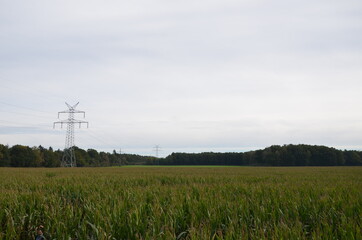 Fototapeta na wymiar pylons in the field