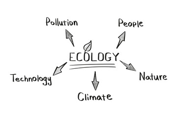 Fototapeta premium Concept of ecology mind map in handwritten style