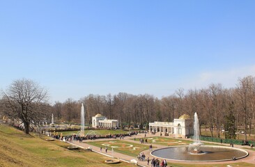 View of the park