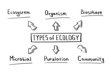 Concept of types of ecology mind map in handwritten style