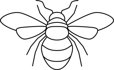Bee vector simple Insect art. Black and white. White background. Line drawing.