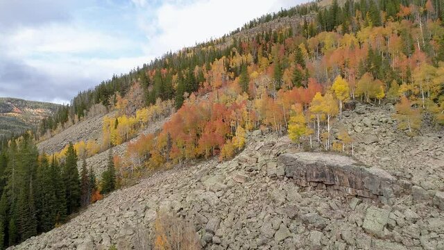 Flying along mountainside during Fall in the Uinta mountains viewing colorful aspens growing in the rocky slope.