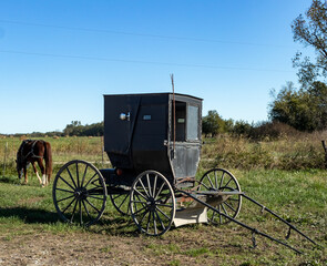 Fototapeta na wymiar Amish carriage and horse parked at country store.