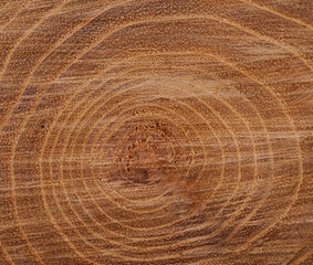 Fototapeta premium Wooden texture background.