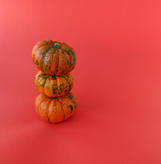 Halloween Celebration Concept. A balance of orange pumpkins on a red background. 