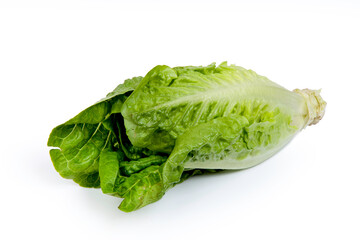 Roman salad isolated. Roman salad isolate.  Side view Roman salad