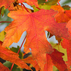 Take pictures with your eyes