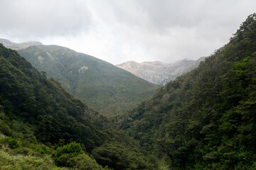 View from Devils Punchbowl Waterfall at the Arthur's Pass National Park. (New Zealand)