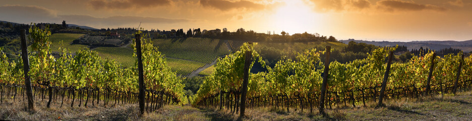 Beautiful panoramic view of vineyards under the sunset light in autumn. Chianti Classico Area near...