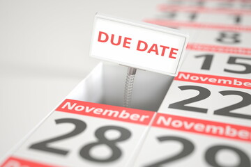 DUE DATE sign on November 21 in a calendar, 3d rendering