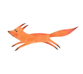 Running fox. Hand drawn pencil picture isolated on white.
