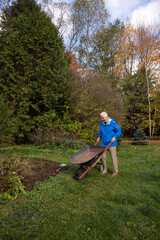 Naklejka na ściany i meble A Senior couple spends a fall day outdoors walking, relaxing and working in the garden.