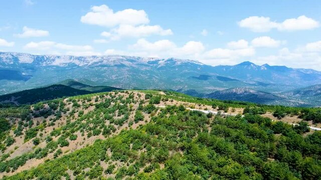Vineyards crimea agriculture background wine, nature rural plant outdoor land, cultivated texture ard hill valley